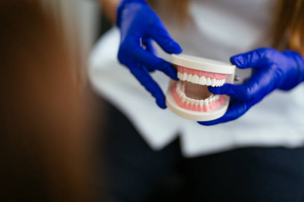 Professional  Holistic Dental Services in Independent Hill, VA